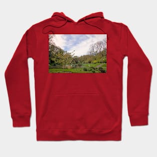 Springtime at Northumberland Park, North Shields Hoodie